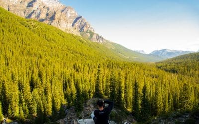 Why You Should Not Allow Family or Friends to Do Your Website