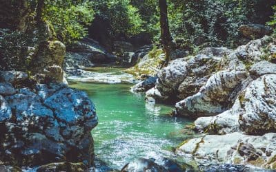 How AI can help you as a small business owner