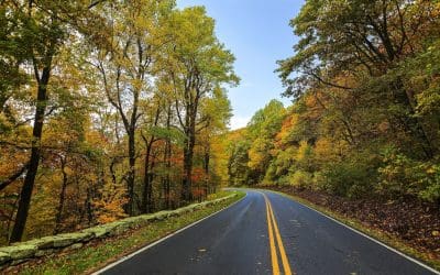 How AI can help you as a small business owner