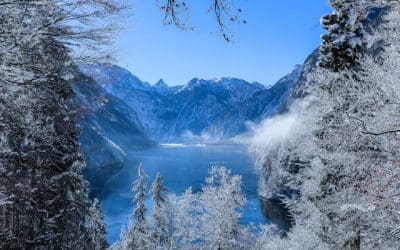 Why Google My Business is Great for Getting Business