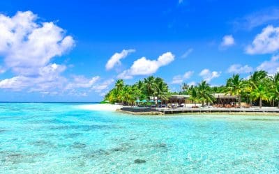 Google Ads: Is Maximize Clicks or Maximize Conversions Better?