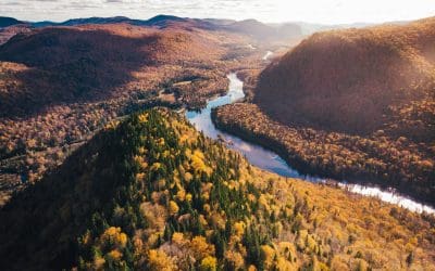 Latest Google Algorithm Updates (2025)