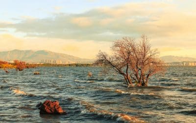 How to Rank Higher on Google in 2025