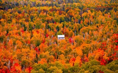 The Most Important Marketing Metrics Every Business Owner Should Track