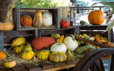 Top Google Ads Metrics Every Marketer Should Track